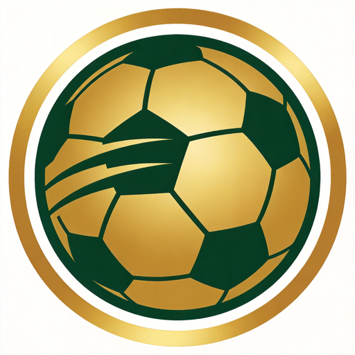V体育 logo